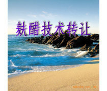 产品库技术转让 优势、要点与实施策略